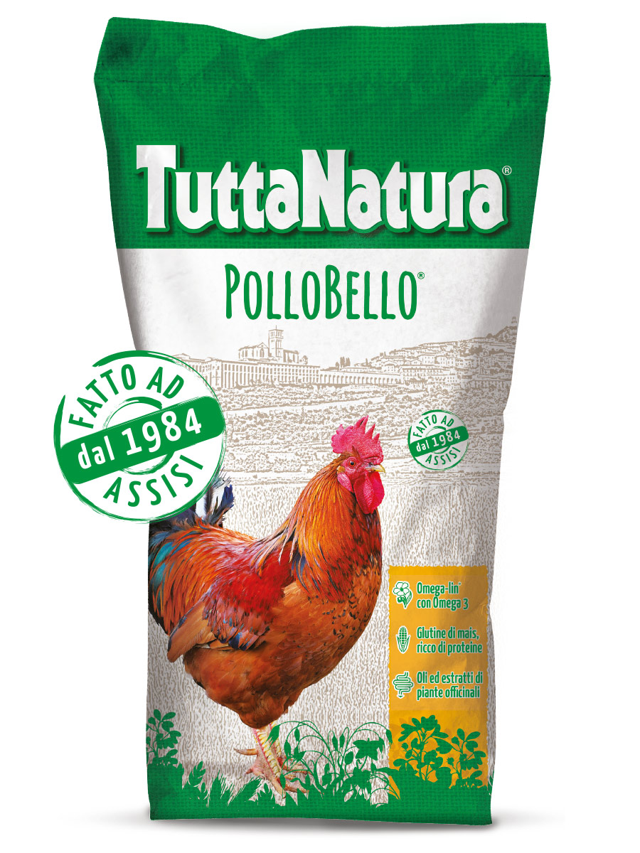 Pollobello mangime per polli - Mignini