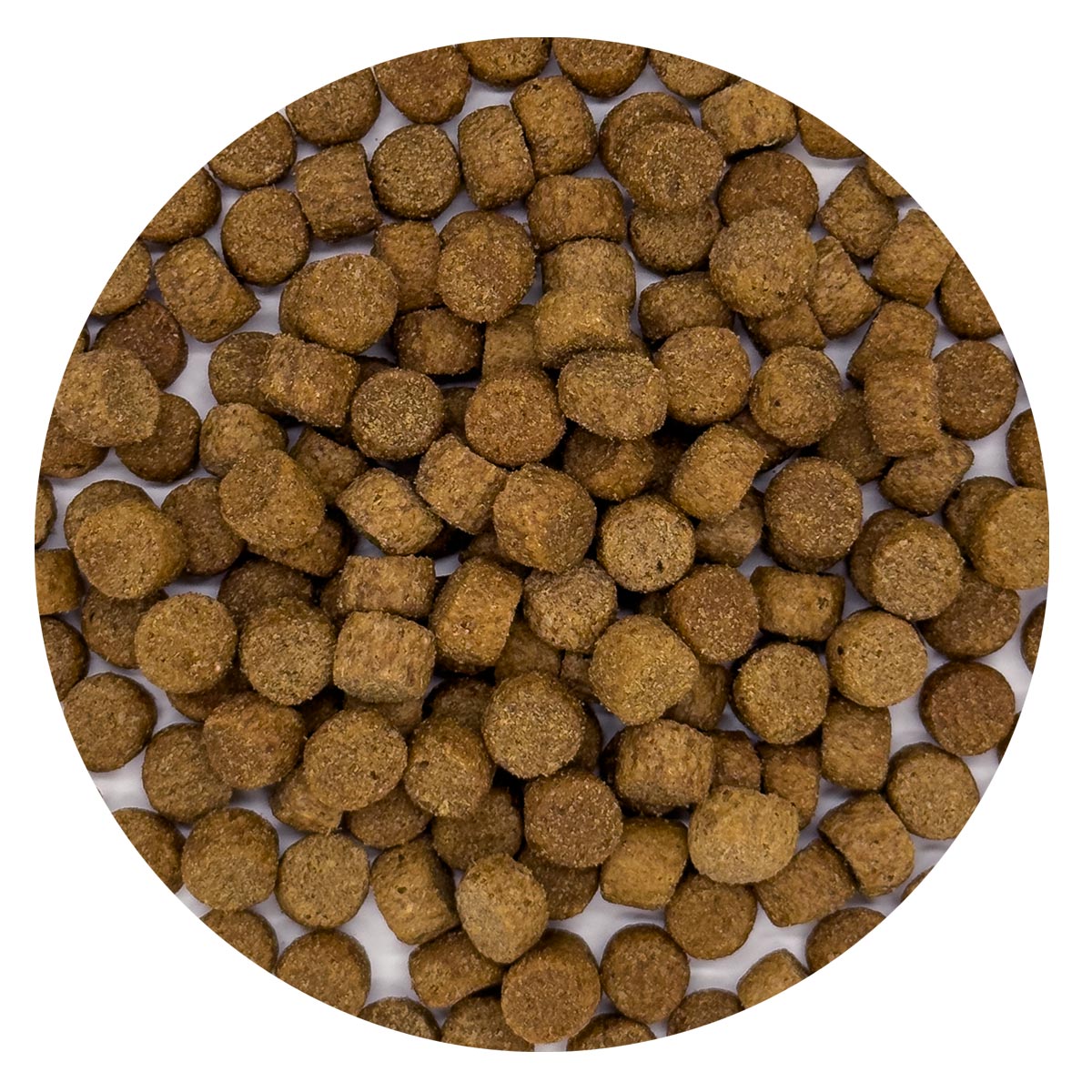 Croccantini Vispo - Mignini