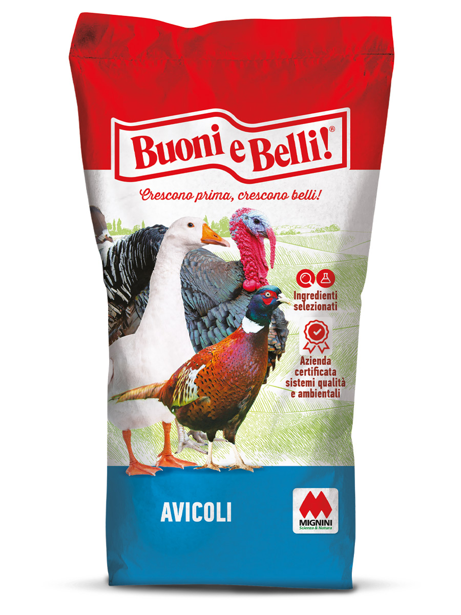 Avicoli linea Buoni e Belli - Mignini