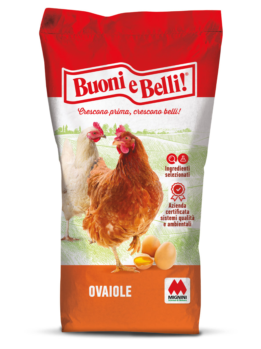 Ovaiole linea Buoni e Belli, alimento per galline ovaiole - Mignini
