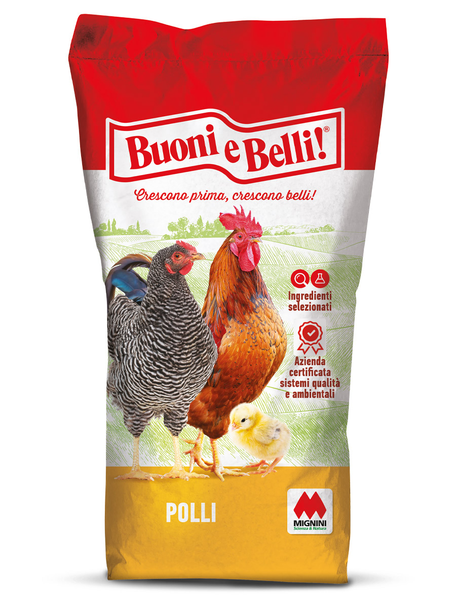 Polli linea Buoni e Belli, alimento per polli - Mignini