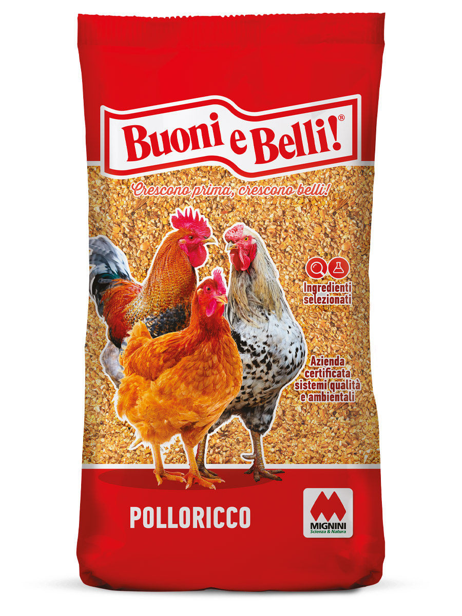 Polloricco linea Buoni e Belli, alimento per polli - Mignini