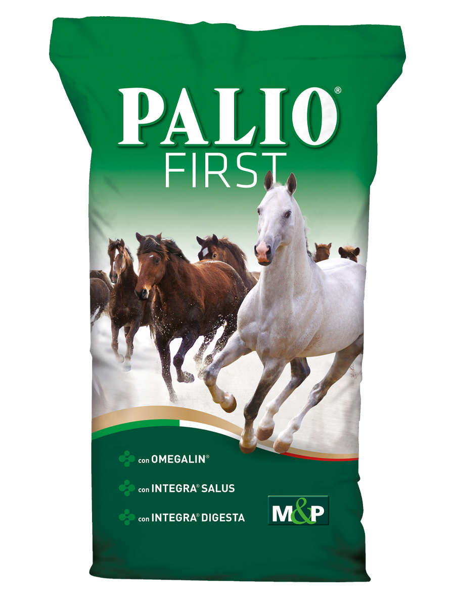 Palio First, alimento per cavalli, puledri e fattrici - Mignini